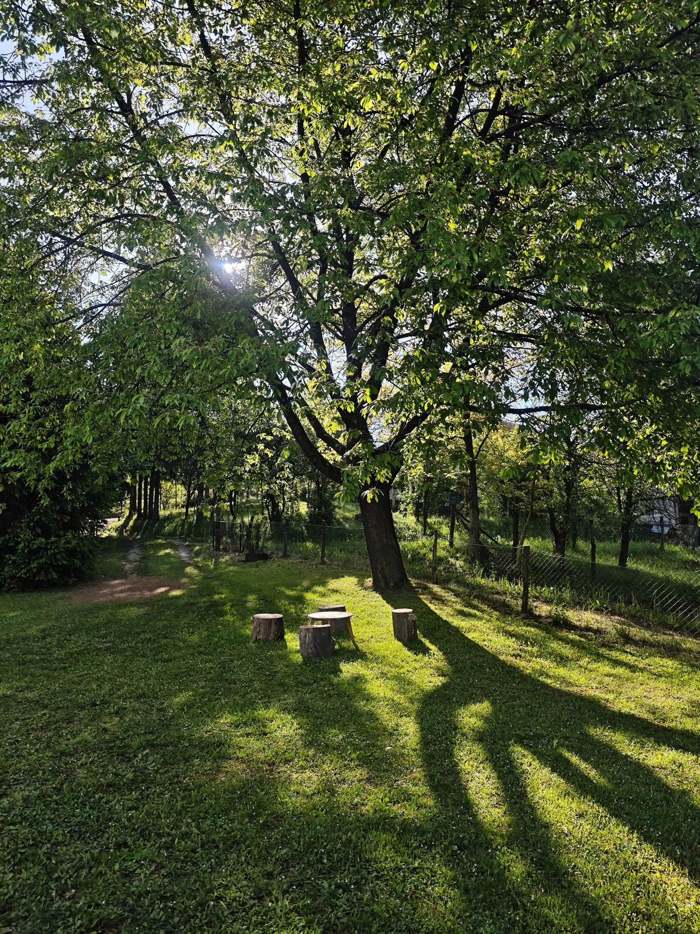 Bogato Brdo landscape