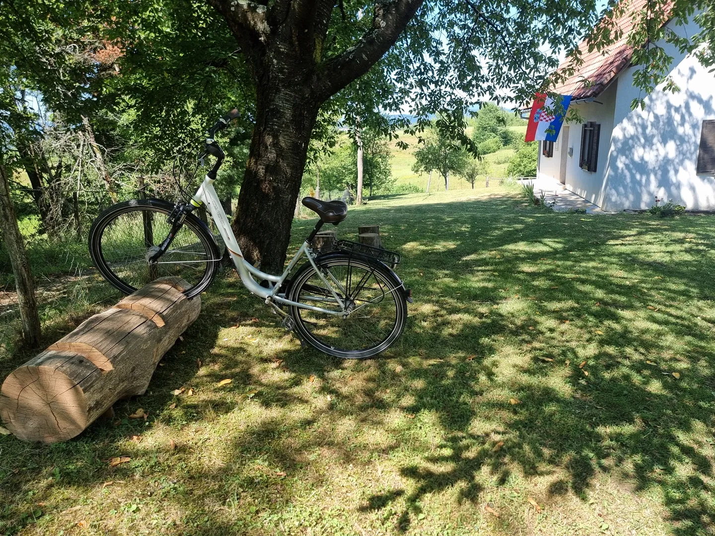 Bike resting on a wooden log near the trail